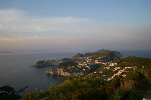 Le Forna